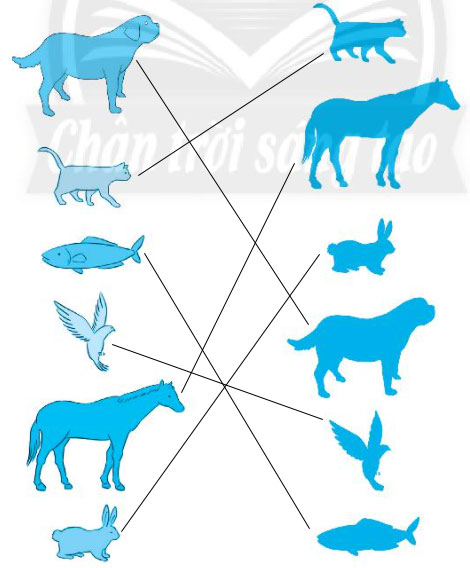 Chủ đề 24: Những người bạn đầu tiên