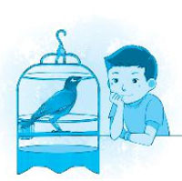 Chủ đề 24: Những người bạn đầu tiên