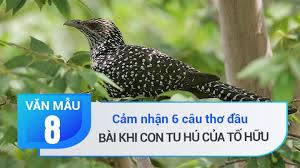 Cảm nhận về 6 câu thơ đầu bài khi con tu hú