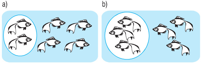 Giải bài tập trang 109, 110 SGK Toán 2