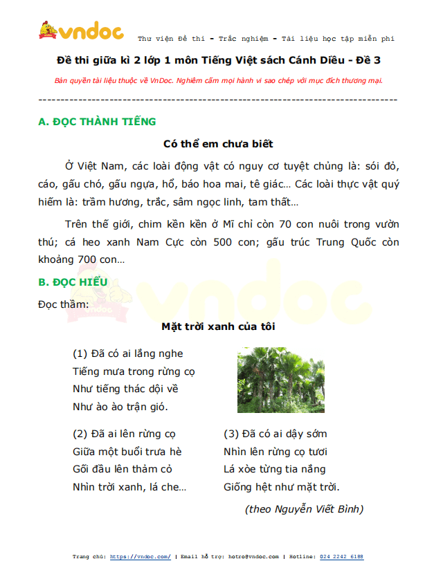 Đề thi giữa kì 2 lớp 1 môn Tiếng Việt năm 2021 sách Cánh Diều - Đề 3