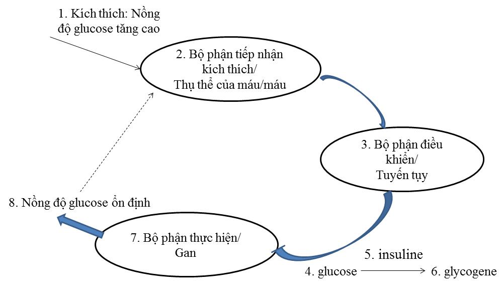 Bộ đề ôn thi giữa học kì 2 năm 2021 môn Sinh 11