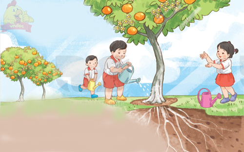 Giải bài tập Tiếng Việt 1 trang 88, 89 Bài 2: Câu chuyện của rễ