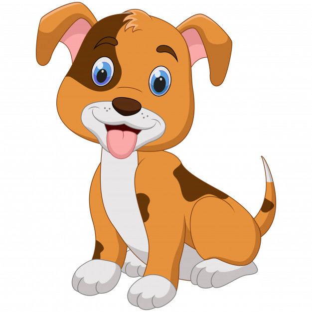 Bài tập Tiếng Anh lớp 3 Unit 16 nâng cao: Do you have any pets?