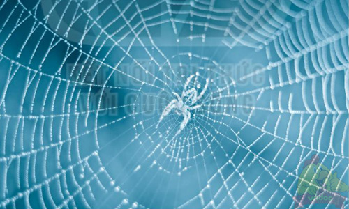 Giải VBT Tiếng Việt 1 trang 48, 49, 50 Bài 4: Cuộc thi tài năng rừng xanh