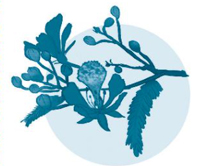 Giải VBT Tiếng Việt 1 trang 51, 52 Bài 5: Cây liễu dẻo dai