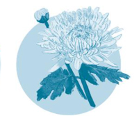 Giải VBT Tiếng Việt 1 trang 51, 52 Bài 5: Cây liễu dẻo dai