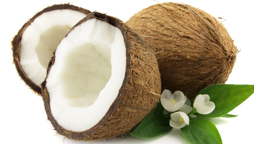 Tả quả dừa lớp 2 - Mẫu