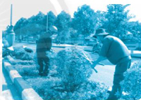 Giải VBT Tiếng Việt 1 trang 52, 53, 54, 55 Chủ đề 29 Đường đến trường