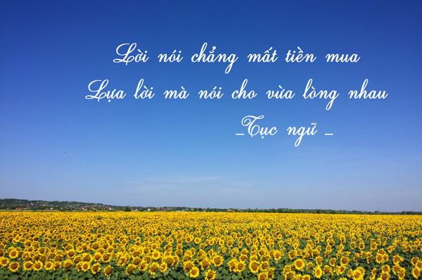 Giá trị của lời nói qua câu tục ngữ Lời nói chẳng mất tiền mua, lựa lời mà  nói cho vừa lòng nhau - Bài viết số 6 lớp 7 đề 4 - VnDoc.com