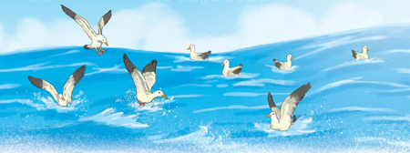 Giải bài tập Tiếng Việt 1 trang 104, 105, 106, 107 Bài 1: Loài chim của biển cả