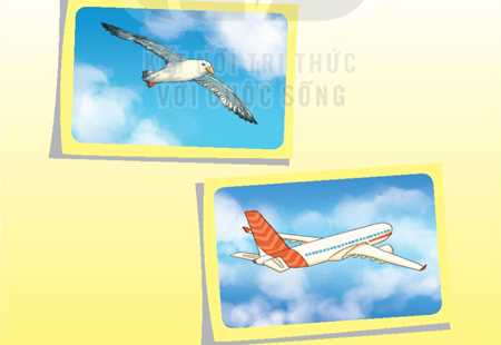 Giải bài tập Tiếng Việt 1 trang 104, 105, 106, 107 Bài 1: Loài chim của biển cả