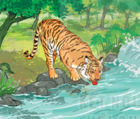 Giải bài tập Tiếng Việt 1 trang 110, 111, 112, 113 Bài 3: Chúa tể rừng xanh