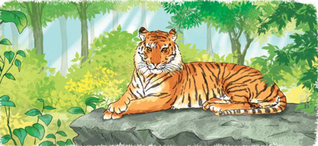 Giải bài tập Tiếng Việt 1 trang 110, 111, 112, 113 Bài 3: Chúa tể rừng xanh