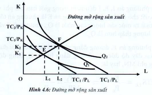 Lý thuyết Nguyên tắc sản xuất