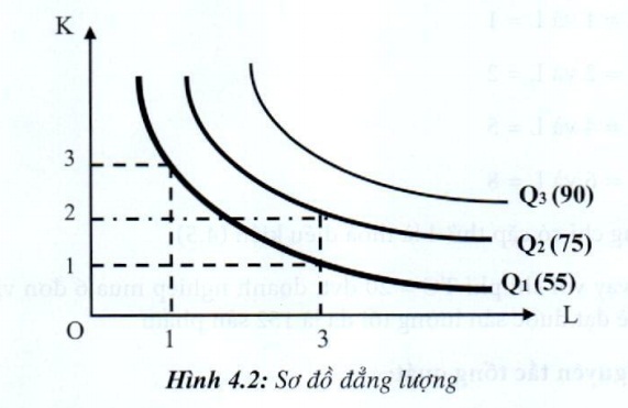 Lý thuyết Nguyên tắc sản xuất