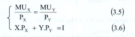 Lý thuyết kinh tế vi mô