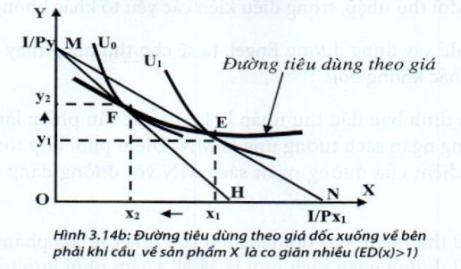 Lý thuyết Phân tích tiêu dùng