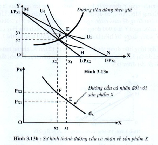 Lý thuyết Phân tích tiêu dùng