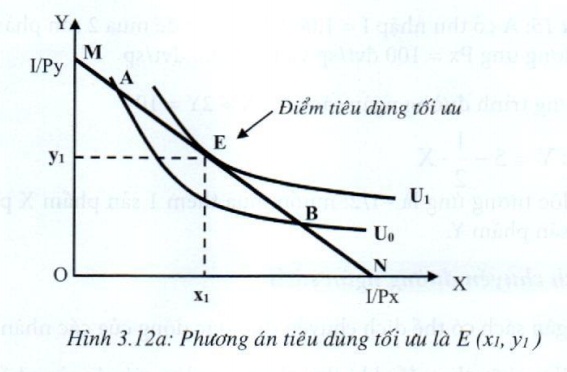 Lý thuyết Phân tích tiêu dùng