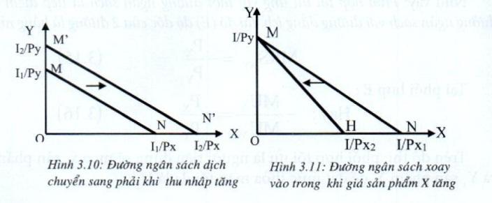 Lý thuyết Phân tích tiêu dùng