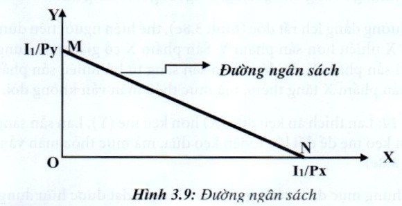 Lý thuyết Phân tích tiêu dùng