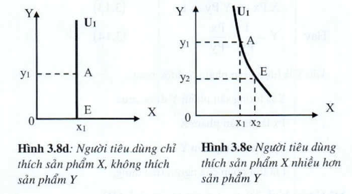 Lý thuyết phân tích tiêu dùng