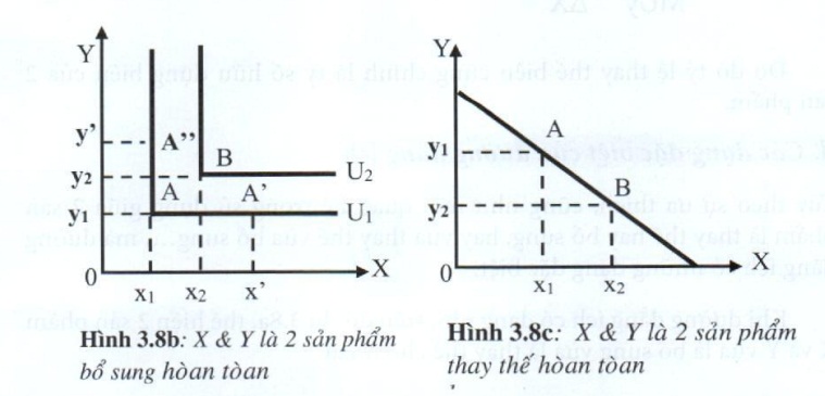 Lý thuyết phân tích tiêu dùng
