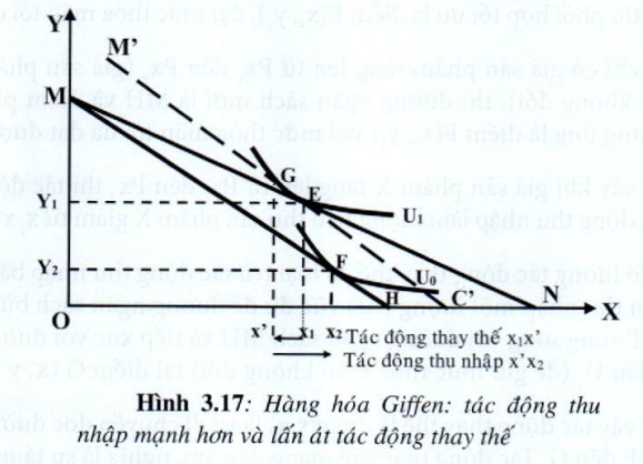 Lý thuyết Phân tích tiêu dùng