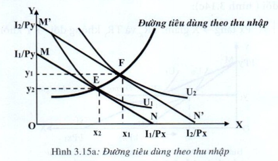 Lý thuyết Phân tích tiêu dùng