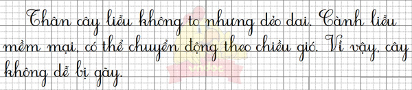 Giải bài tập Tiếng Việt 1 trang 118, 119, 120, 121 Bài 5: Cây liễu dẻo dai