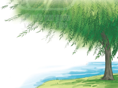 Giải bài tập Tiếng Việt 1 trang 118, 119, 120, 121 Bài 5: Cây liễu dẻo dai