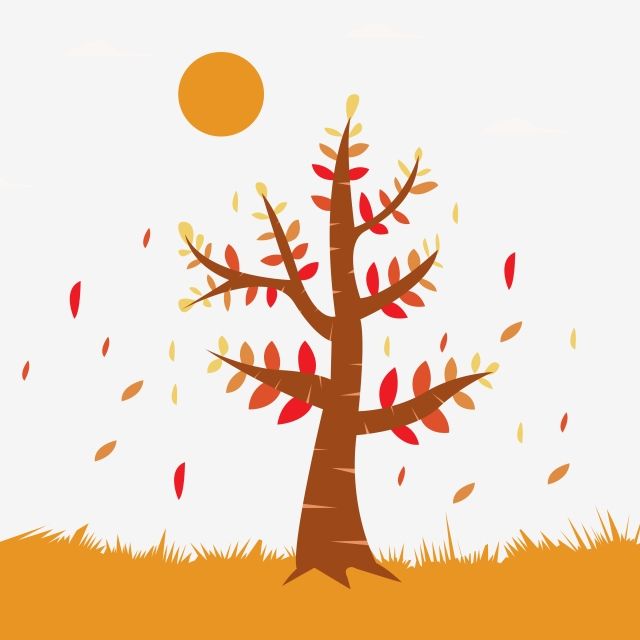 Phiếu bài tập cuối tuần Tiếng Anh lớp 5 nâng cao - Tuần 30