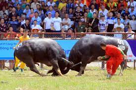 Thuyết minh về Đồ Sơn