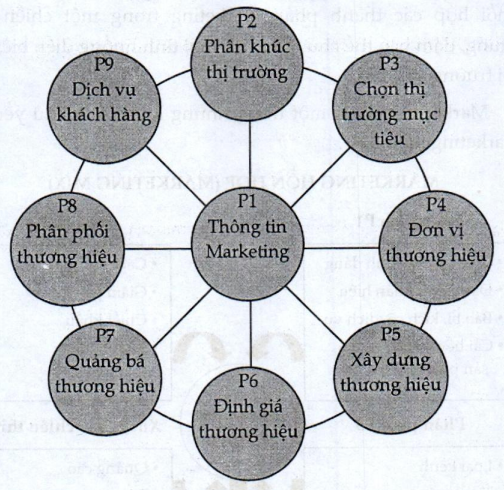 Lý thuyết quy trình Marketing