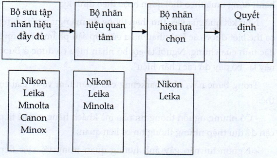 Lý thuyết thị trường người tiêu dùng