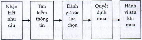 Lý thuyết thị trường người tiêu dùng