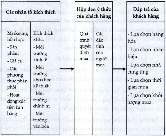 Lý thuyết thị trường người tiêu dùng
