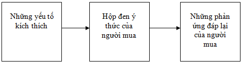 Lý thuyết thị trường người tiêu dùng