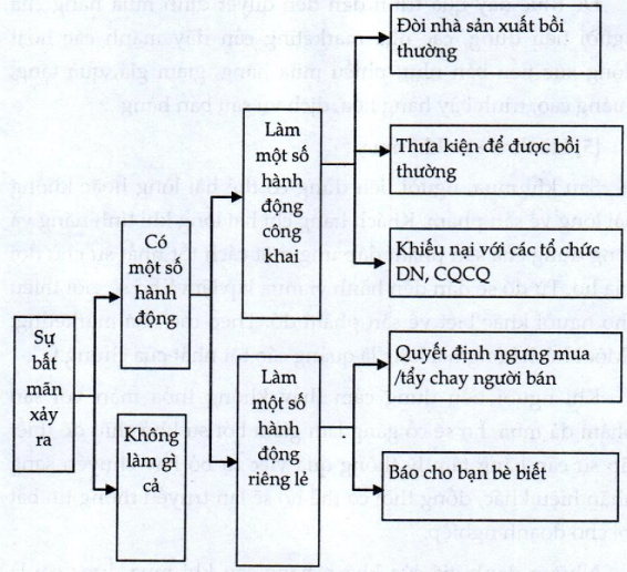 Lý thuyết thị trường người tiêu dùng
