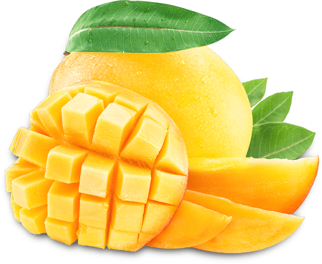 Đề thi Tiếng Anh lớp 1 học kì 2 I-learn Smart năm 2021 số 1