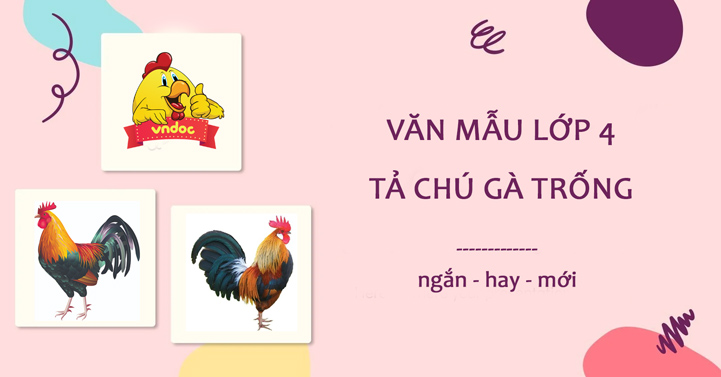 Văn tả con gà trống lớp 4 Ngắn nhất - Phần 1