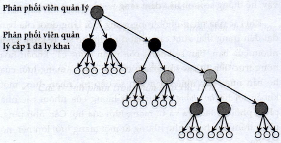 Lý thuyết cấu trúc kênh phân phối