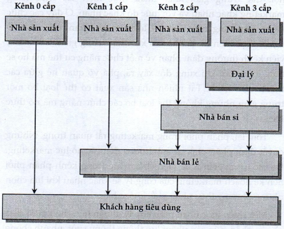 Lý thuyết cấu trúc kênh phân phối
