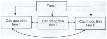 Bản chất của tâm lý học