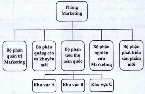 Lý thuyết tổ chức marketing