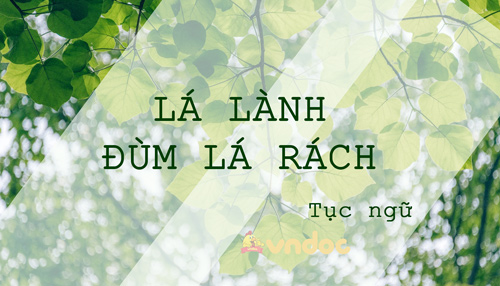 Giải thích câu tục ngữ Lá lành đùm lá rách