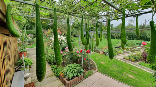 Dàn ý Tả khu vườn vào buổi sáng đẹp trời