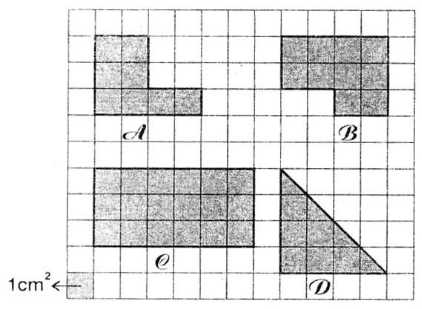 Giải bài tập trang 174, 175 SGK Toán 3