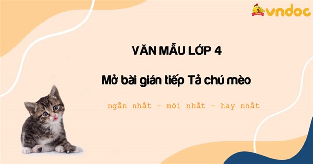 Mở bài gián tiếp Tả con mèo lớp 4 - Mở bài gián tiếp tả con vật 